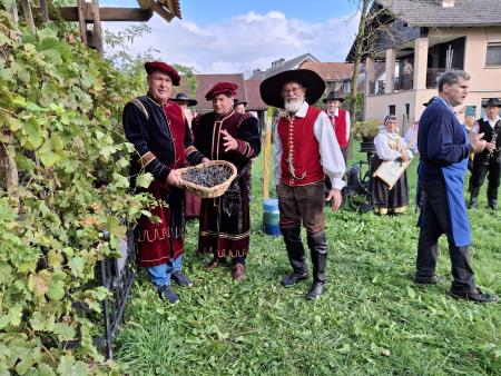 Zadovoljni s trgatvijo_Na desni stoji Dane Novak_skrbnik Borštnikove domačije